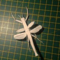 
<span>Flying Walking Stick</span>
