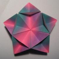 
<span>Pentagonal Star</span>
