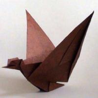
<span>Flapping Goose</span>
