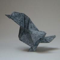 
<span>Sparrow</span>
