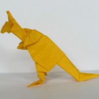 
<span>Kangaroo</span>
