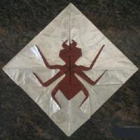 
<span>Chocolate Covered Ant</span>

