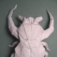 
<span>Goliath horned flower Beetle</span>
