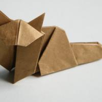 
<span>Persian Cat</span>
