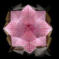 
<span>Lotus Kusudama</span>
