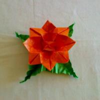 
<span>Lotus (Oribana Display)</span>

