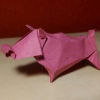 
<span>Bull</span>
