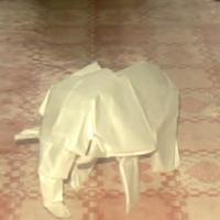 
<span>African Elephant</span>
