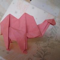 
<span>Bactrian Camel</span>
