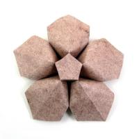 
<span>Pentagonal Flower</span>
