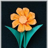 
<span>Octagonal Flower</span>
