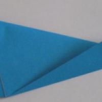 
<span>Fish</span>
