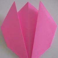 
<span>Tulip</span>
