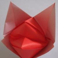 
<span>Fox</span>
