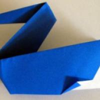 
<span>Pelican</span>
