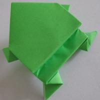 
<span>Frog</span>
