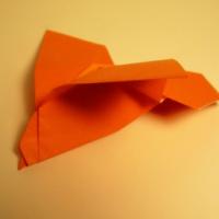 
<span>Bird</span>

