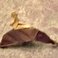 
<span>Boy on a Dolphin</span>
