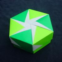 
<span>Lid of Hexagon Box w/ 6 Petals</span>
