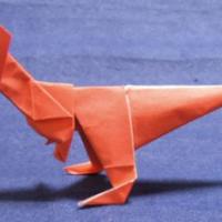 
<span>Kangaroo</span>

