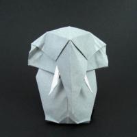 
<span>Elephant Major</span>
