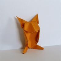 
<span>Shy Young Hare</span>

