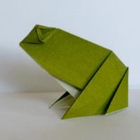 
<span>Frog</span>
