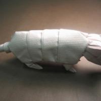 
<span>Armadillo</span>
