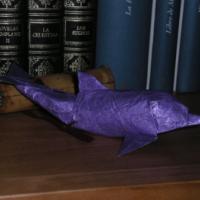 
<span>Dolphin</span>
