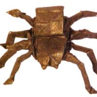 
<span>L'ARAIGNÉE-SISYPHE</span>
