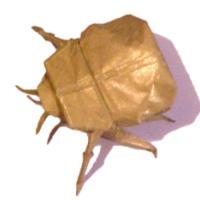 
<span>SCARABÉE SACRÉ</span>
