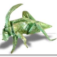 
<span>SAUTERELLE DE BOSC</span>
