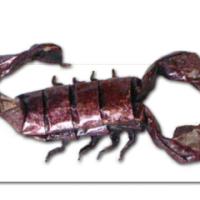 
<span>SCORPION</span>

