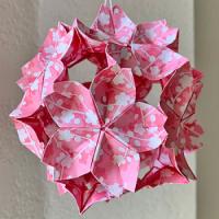 
<span>Linked Cherry Blossoms</span>

