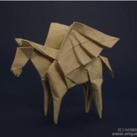 
<span>Pegasus</span>
