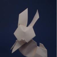 
<span>Rabbit</span>
