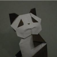 
<span>Panda</span>
