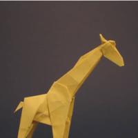 
<span>Giraffe</span>
