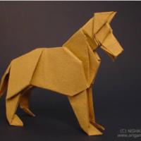 
<span>Shepherd</span>
