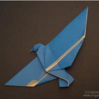
<span>Aquila</span>
