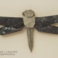 
<span>Dragonfly</span>
