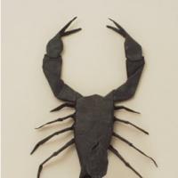 
<span>Scorpion</span>

