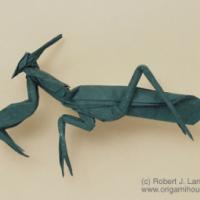 
<span>Praying Mantis</span>
