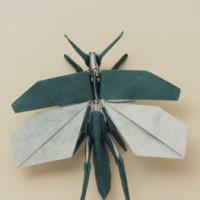 
<span>Flying Grasshopper</span>
