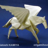 
<span>Pegasus</span>
