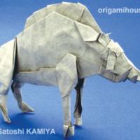 
<span>The Divine Boar</span>
