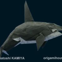 
<span>Orca</span>
