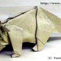 
<span>Styracosaurus</span>
