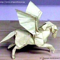 
<span>Pegasus</span>
