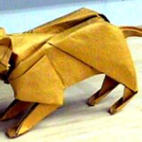 
<span>Tiger</span>
